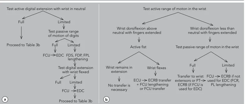 Table 3. Test active digital extension with wrist in neutral, b) Test active range of moton in the wrist