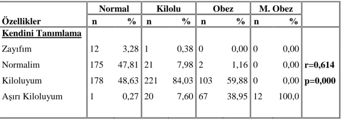 Tablo 6.2: BKĐ Kategorileri ile Kendini Tanımlama Durumu 