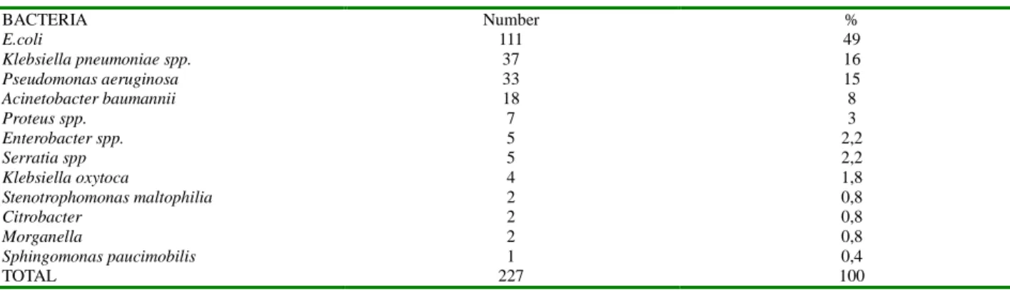 Table 1. Distrubition of the isolated gram negative bacteria 