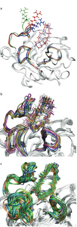 Figure 6:  Scoring energy of correctly docked ligands for protein conformers generated from (a) atom-