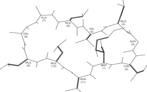 Figure 1:  Ligand 2-Thr Cyclosporin A with rotatable 