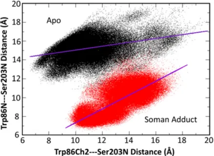 Fig 12. Correlation of the Trp86 main chain (N) and sidechain (CH2) atom distances to Ser203 (N)