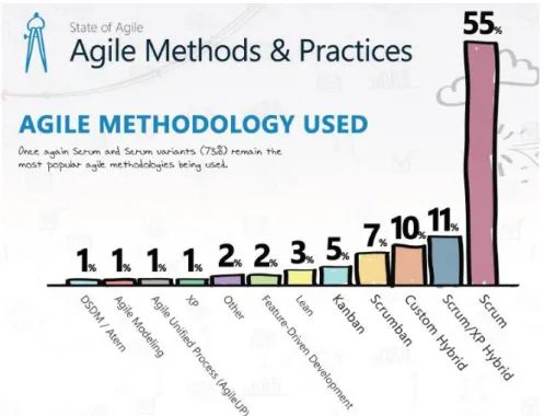 Figure 6: Agile Methods and Practices (12)
