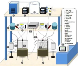 Fig 1. Schematic shown of SMEBR and SMBR [25]  2.2.  Analytical procedure 