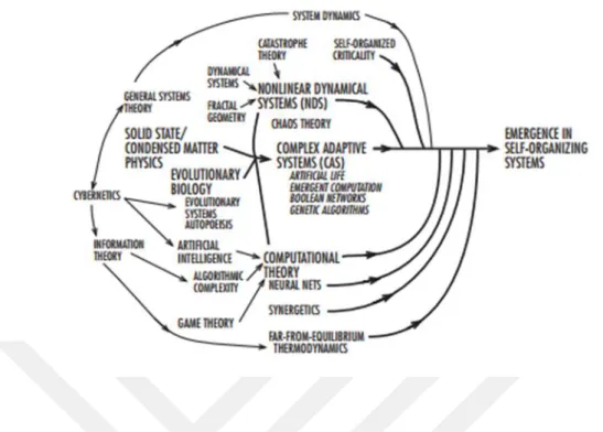 Figure 2.1. Mathematical and scientific roots of emergence (Goldstein, 1999) 