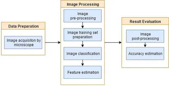 Fig. 3. The raw image of particles manually selected from chromite sample.