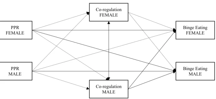 Figure 1.1. The Conceptual Model 