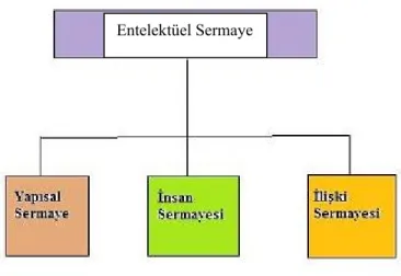 Şekil 1.5.4.: Entelektüel Sermaye Unsurları - Meritum, Bontis, Reilly,  Viedma, Schweihs