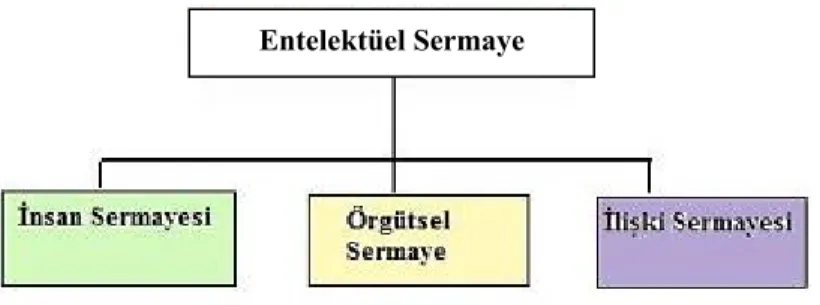 Şekil 1.5.8.: Entelektüel Sermaye Unsurları – M’Pherson 