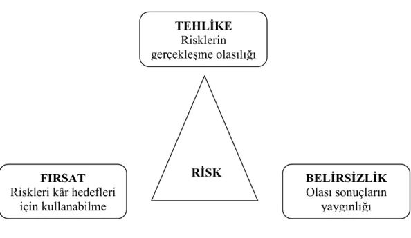 Şekil 2.1: Finansal Risk 13