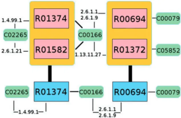 Table 3. The TR subcolumns provide the number of reactions in the network pair