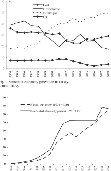 Fig. 2. Natural gas and electricity price indices (1994¼1.00). Source of data: International Energy Agency and Turkstat.