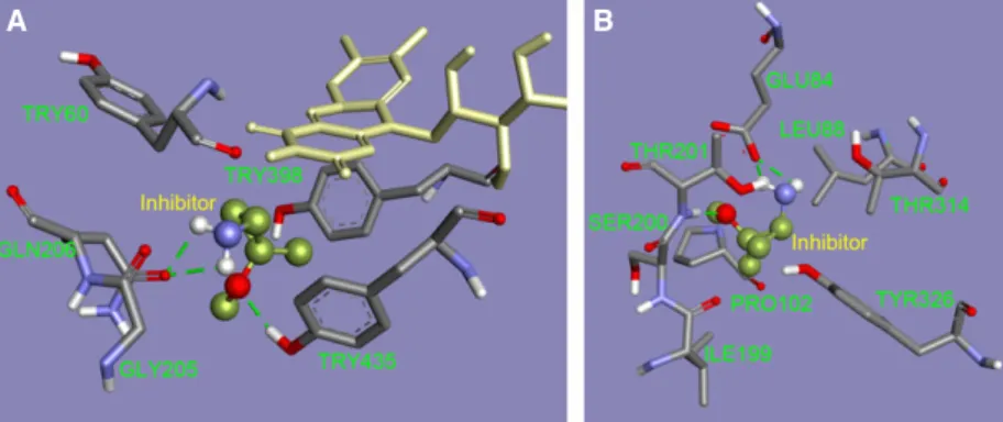 Fig. 3. Amino acids surrounding the (1 R,2S) enantiomer of compound 1 either near the flavin or in the imidazoline I 2 site of MAO B.