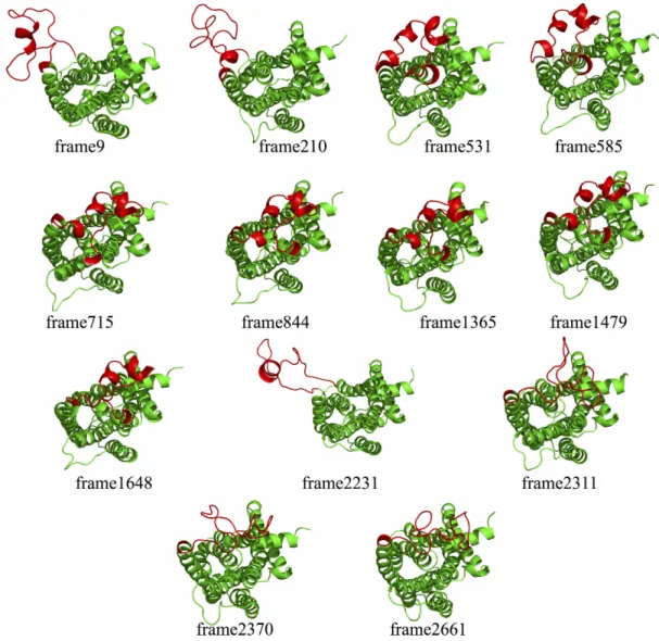 Figure 3.3. 13 MD snapshots. ICL3 region is shown in red color. 