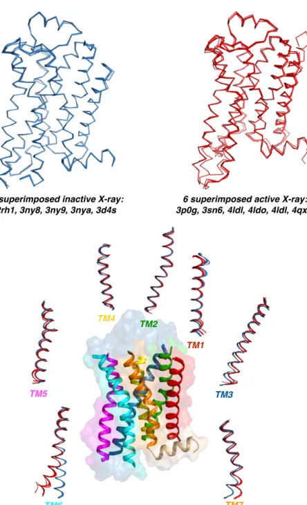 Figure 4.3. X-ray snapshots of inactive (blue) and active (red) states aligned and  seven transmembrane helices