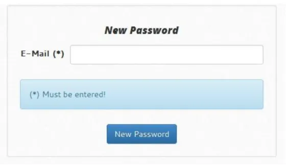 Figure 5 : New Password Form 