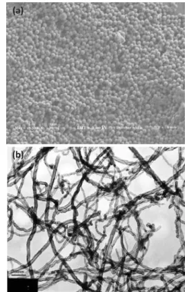 Fig. 1. (a) SEM image of PS latex and (b) TEM image of multi- multi-walled nanotubes (MWNTs) (www.cheaptubesinc.com) used in this study.