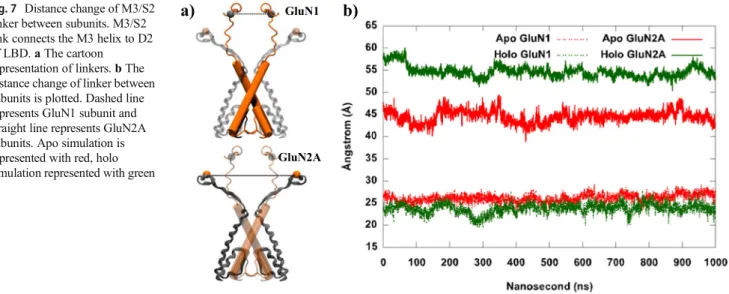 Fig. 7 Distance change of M3/S2 linker between subunits. M3/S2 link connects the M3 helix to D2 of LBD