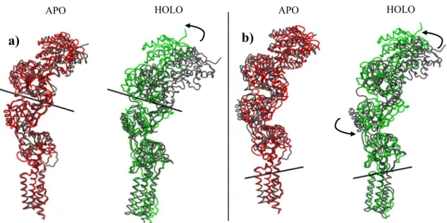 Fig. 9 The rotation angles in the PCA first mode. a The representation of ATD rotation between two conformations from first mode of PCA