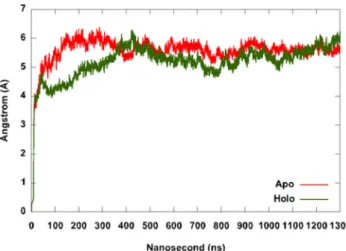 Fig. 2 The RMSD plot of apo and holo simulations. Apo (ligand-free) is represented by the red line, holo (ligand-bound) is represented by the green line