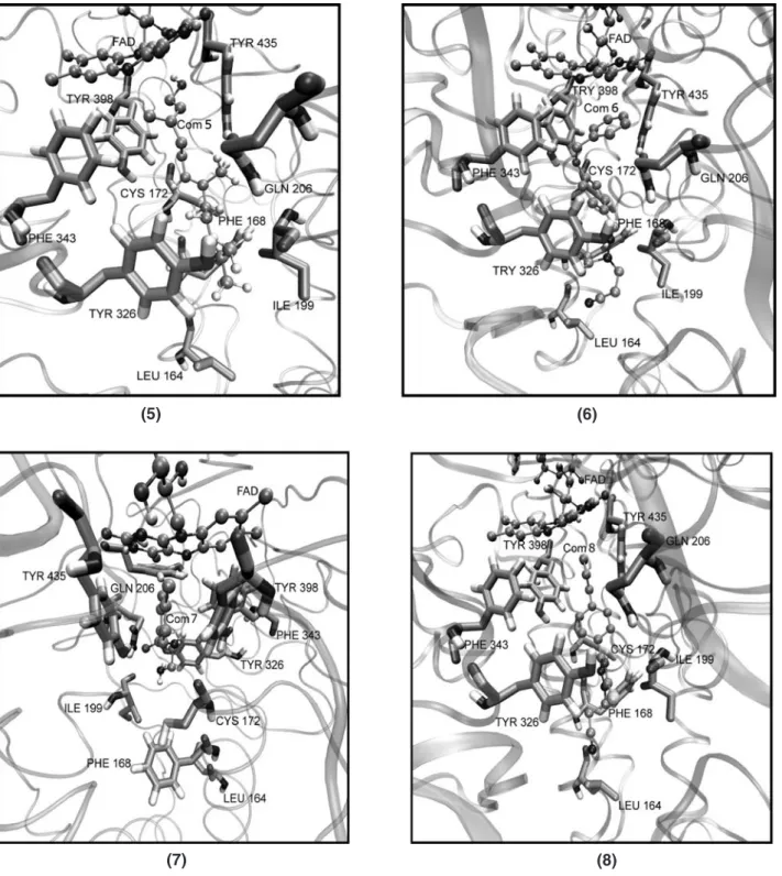 Fig. 2. The interacting mode of compounds 5, 6, 7, 8 with MAO-B. The important residues of the enzyme and the inhibitors are depicted by ligorice and CPK model, respectively