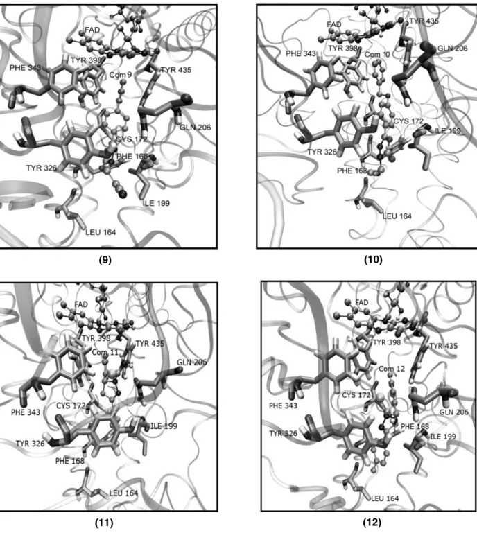 Fig. 3. The interacting mode of compounds 9, 10, 11, 12 and their orientations in the active site of the enzyme
