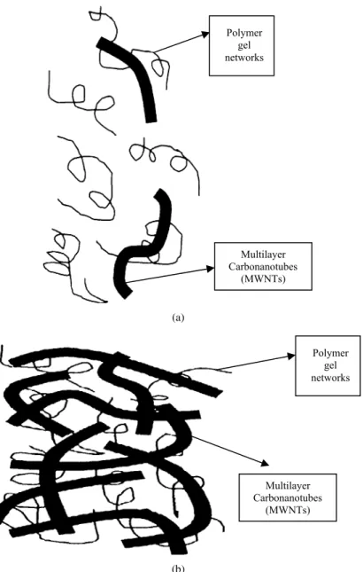 Figure 1. Schematic of CNTs/polymer composite with isotropic orientation of nanotubes (a) before