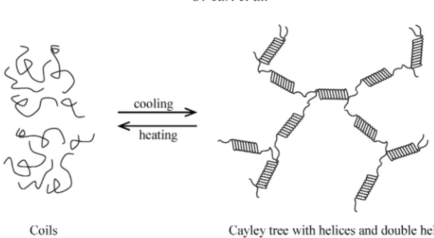Figure 7. Cartoon presentation of thermal phase transition accord with the classical approach where
