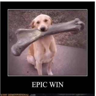 Illustration 3.2. An Epic Win