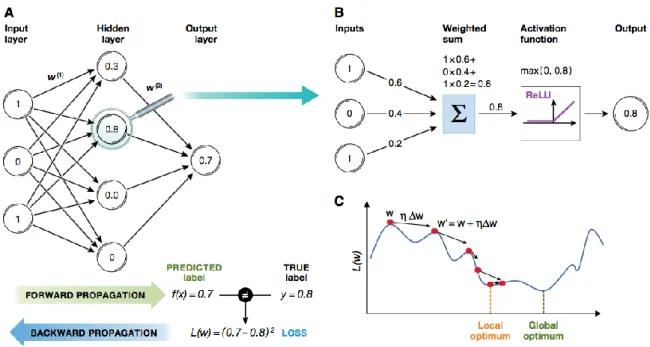 Figure 2 16 Artificial Neural Network training processes (Angermueller et al., 2016) 
