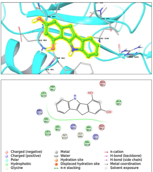 Fig. 1. (Top) Binding interactions for top-docking poses of compound 26 within transferases family (Class II; 1P4O, PDB ID)