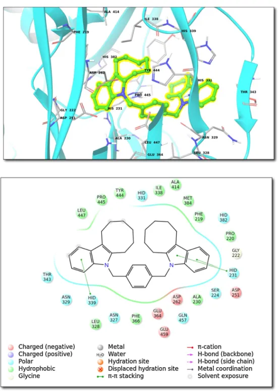 Fig. 2. (Top) Binding interactions for top-docking poses of compound 5 within hydrolases family (Class III; 1B6A (PDB ID))