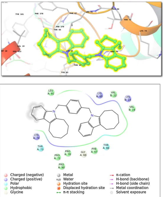 Fig. 3. (Top) Binding interactions for top-docking poses of compound 5 within Lyases family (Class IV; 3FVS (PDB ID))
