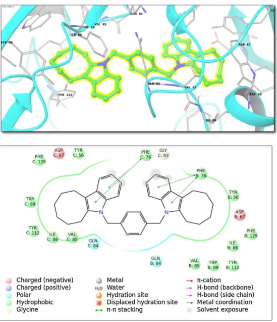 Fig. 4. (Top) Binding interactions for top-docking poses of compound 5 within isomerases family (Class V; 2PBC (PDB ID))