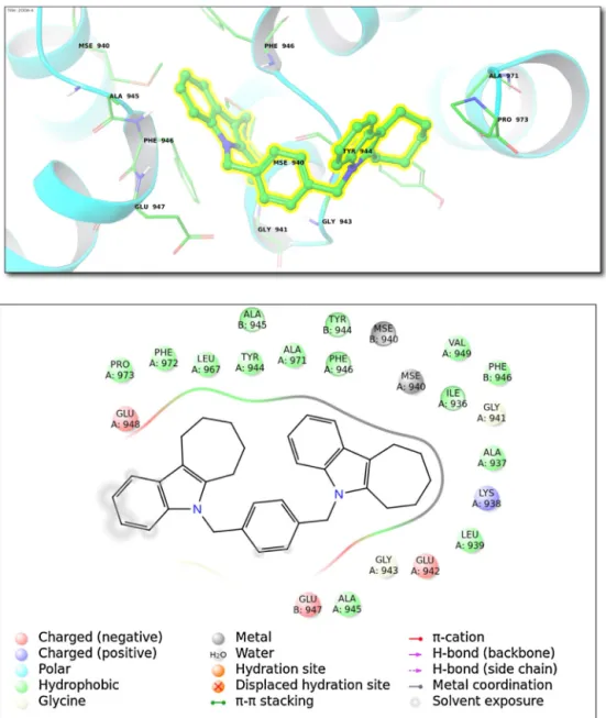 Fig. 5. (Top) Binding interactions for top-docking poses of compound 4 within ligases family (Class VI; 2OOA (PDB ID))