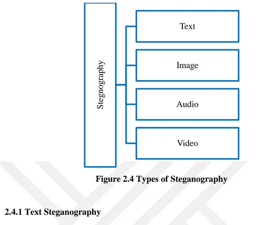 Figure 2.4 Types of Steganography 