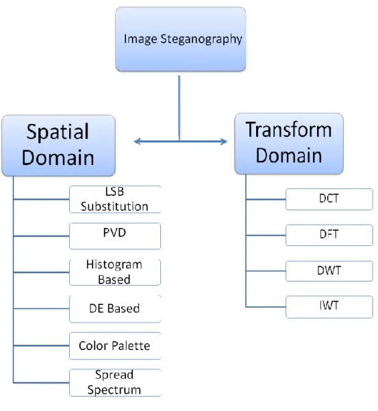 Figure 2.6 Image Steganography Domains 
