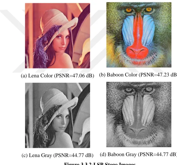 Figure  3.3  shows  the  result  of  2-LSB  encoding.  The  Gray  scale  Lena  and  Baboon  contain  524,288  bits  of  data  and  color  Lena  and  Baboon  contain  the  1,572,864  bits  of  data as a payload
