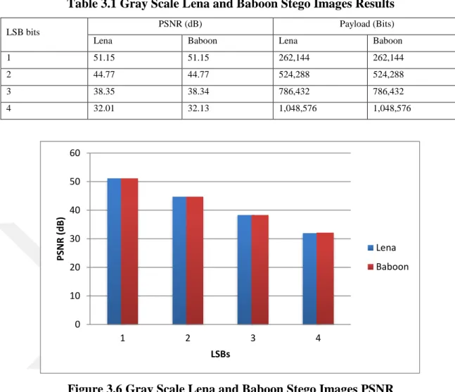 Table 3.1 Gray Scale Lena and Baboon Stego Images Results 