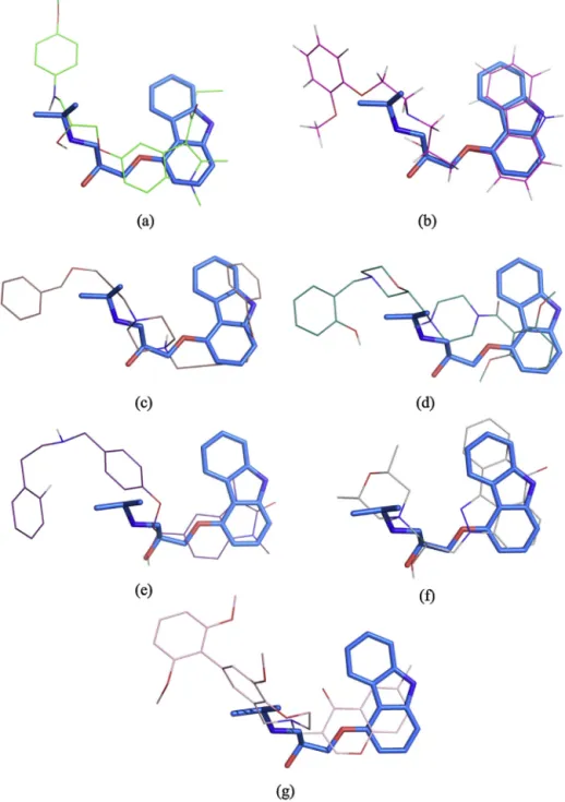 Fig. 7. Best poses of (a) the hit compound with carazolol scaffold, (b) carvedilol and (c)–(g) the ﬁve hit compounds with unique structures