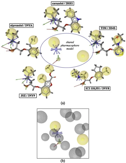 Fig. 1. Pharmacophore models of (a) ﬁve X-ray crystal structures of human ␤ 2 AR illustrated with PDB ids and the bound antagonist/inverse agonist (b) the shared pharma-