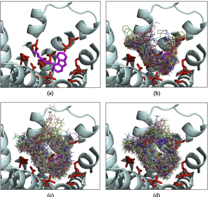 Fig. 4. (a) Partial inverse agonist Carazolol found in the X-ray crystal structure (PDB id: 2RH1) demonstrated in magenta color and stick representation for reference