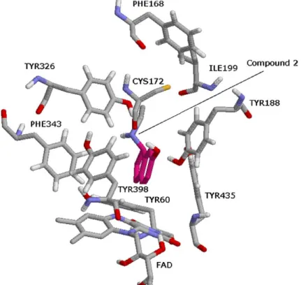 Figure 2. The interacting mode of 6-hydroxy-N-propargyl-1(R)-aminoindan 2 in the active site of MAO-B enzyme.