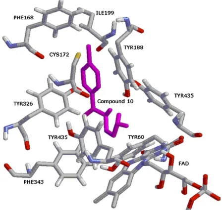 Figure 10. The binding conformation of lazabemide 10 with MAO-B (1S3E: 1.6 A ˚ resolution)