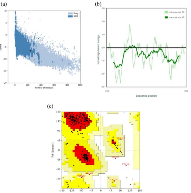 Figure 4. Homology modeling (M0001) validation. (a) z-score plot shows model M0001 (black dot) within the range of native structure