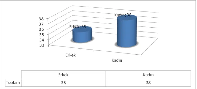 Grafik 4.1: Anket Katılımcı Profili - Cinsiyete Göre Dağılım 