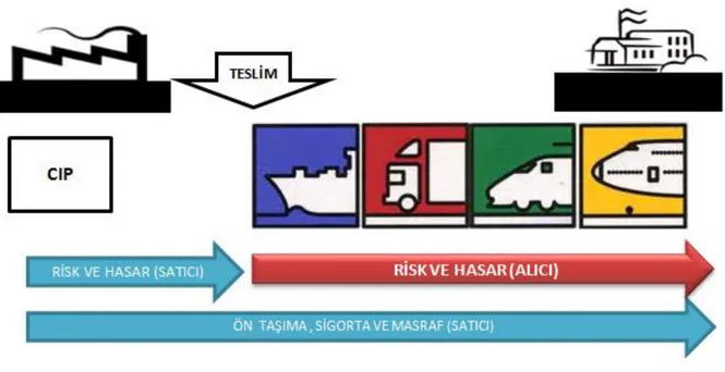 ġekil 2.5: Taşıma Ücreti ve Sigorta Ödenmiş Olarak / Carriage and Insurance  Paid To (CIP) 