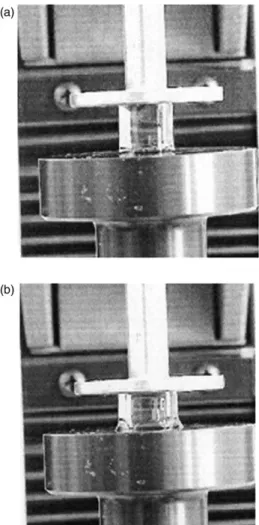 Figure 1. Loading processes of 0.1 wt% MWNT content composite gel at: (a) initial (F ¼ 0.0 N) and (b) final (F ¼ 5.0 N) states.