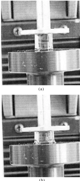 FIG. 1. Compression process of 10 molar % NIPA (a) initial (F¼ 0.0 N) and (b) ﬁnal states (F ¼ 5.0 N).