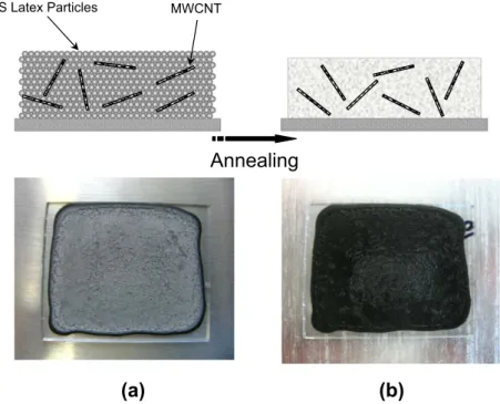 Fig. 1. Photographs of the ﬁlm with 3.4 wt.% mass fraction and cartoon representations of ﬁlm cross-section: (a) before and (b) after the annealing process.